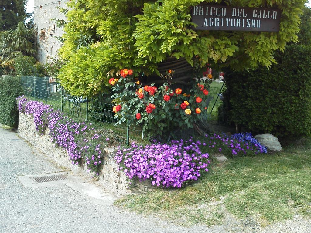 Bricco Del Gallo Sinio Εξωτερικό φωτογραφία